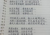 小学书法练习过书法字帖